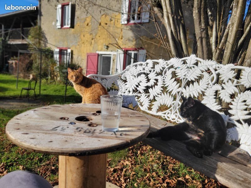 Maison à louer, 110m², Estadens