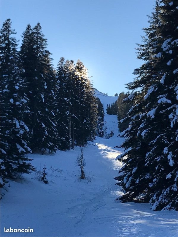 Maison à vendre, 103m², Selonnet (Chabanon Selonnet)