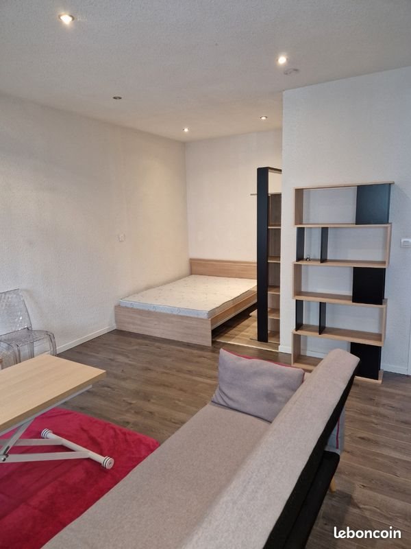 Appartement à louer, 25m², Saint-Etienne