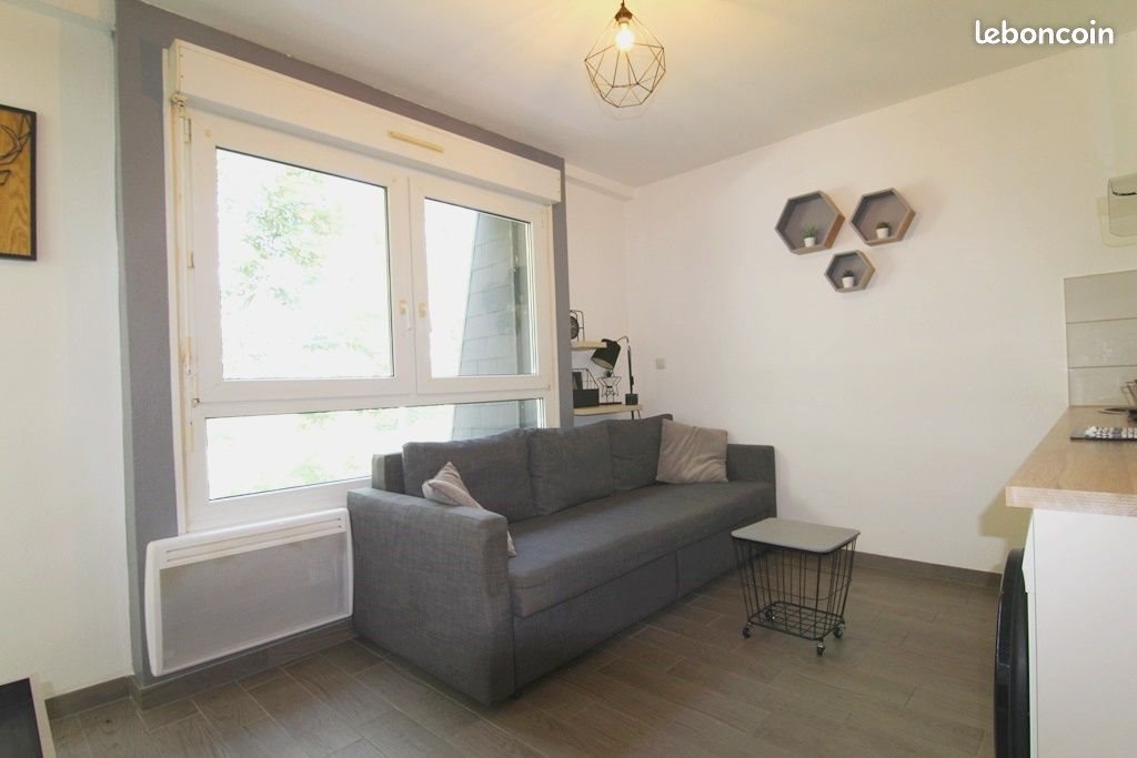 Appartement à louer, 19m², Sausheim