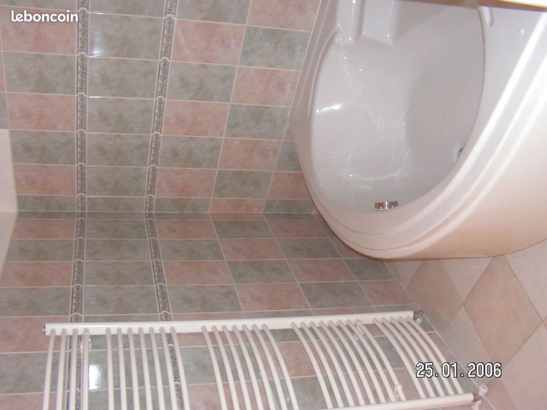 Appartement à louer, 63m², Cusset