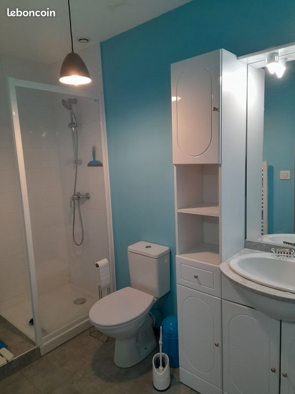 Appartement à louer, 22m², Dardilly