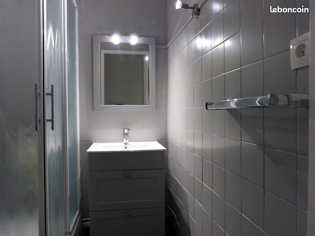 Appartement à louer, 60m², Saint-Etienne