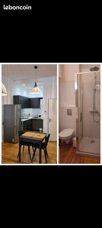 Appartement à louer, 33m², Toulouse