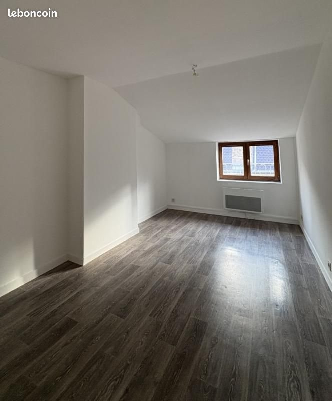 Appartement à louer, 51m², Lyon 1er