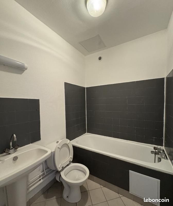 Appartement à louer, 51m², Lyon 1er