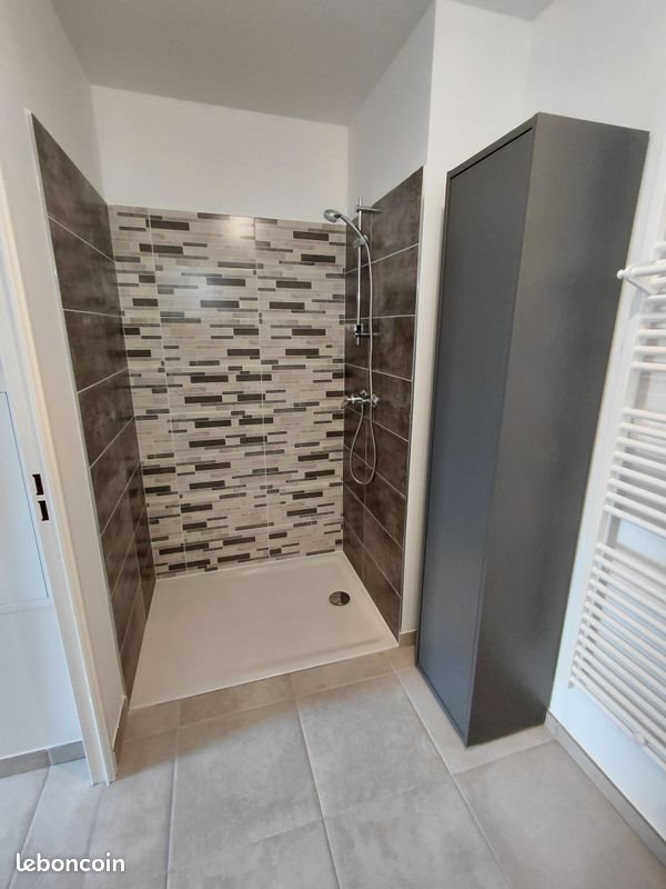 Appartement à louer, 19m², Saint-Etienne