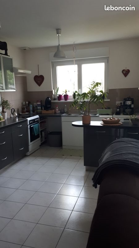 Maison à louer, 75m², Offendorf