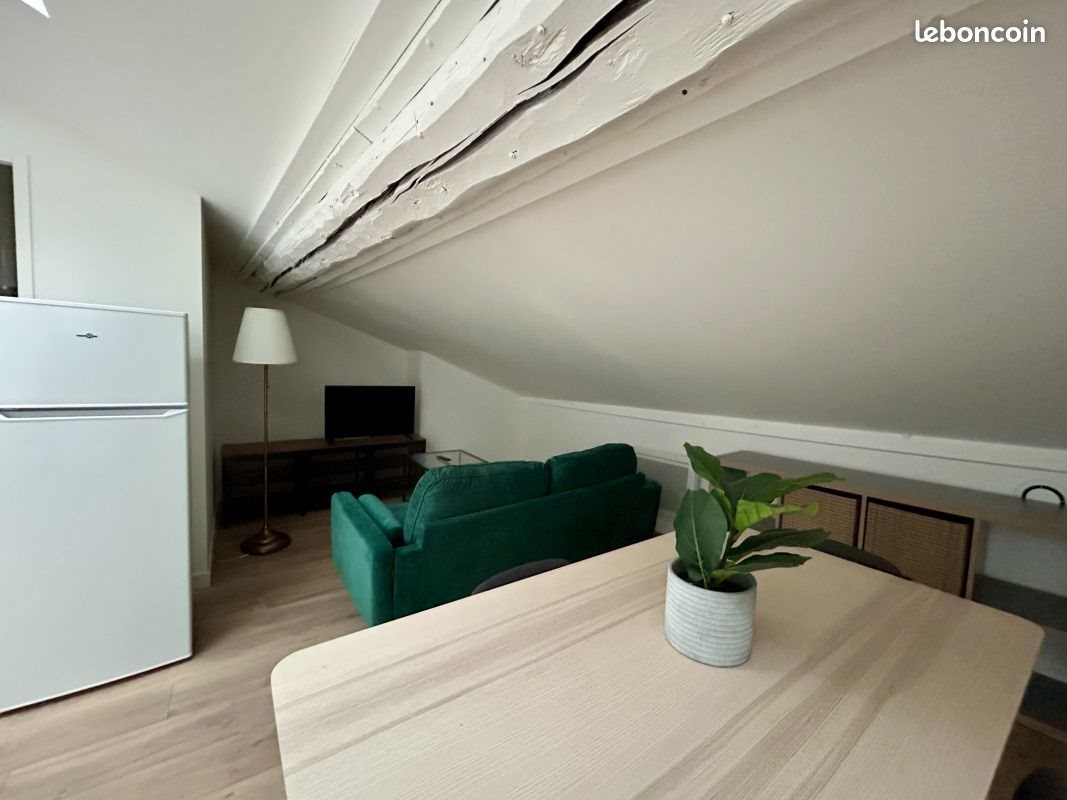 Appartement à louer, 53m², Saint-Etienne
