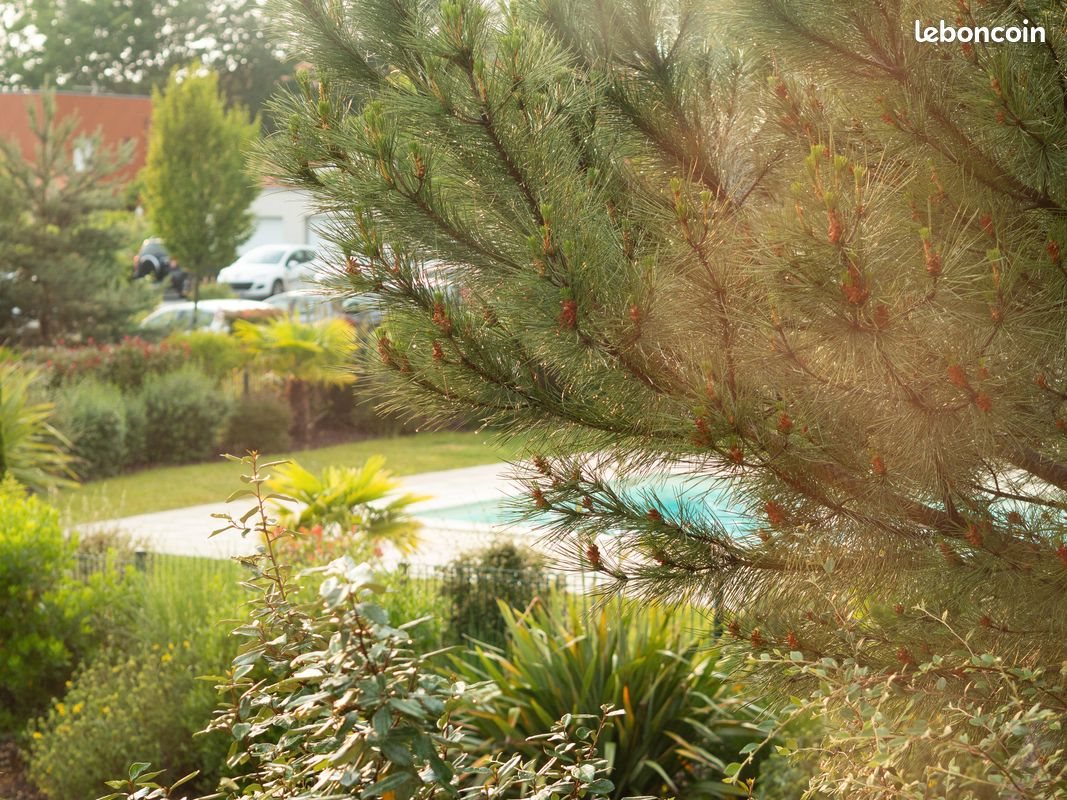 Appartement à louer, 48m², Couzeix