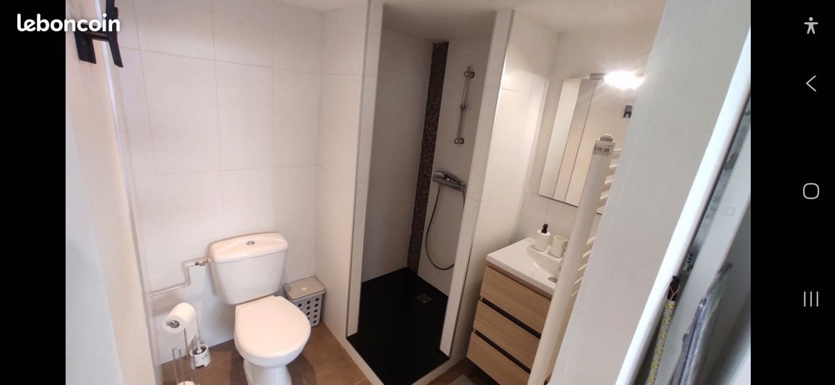 Appartement à louer, 24m², Saint-Etienne