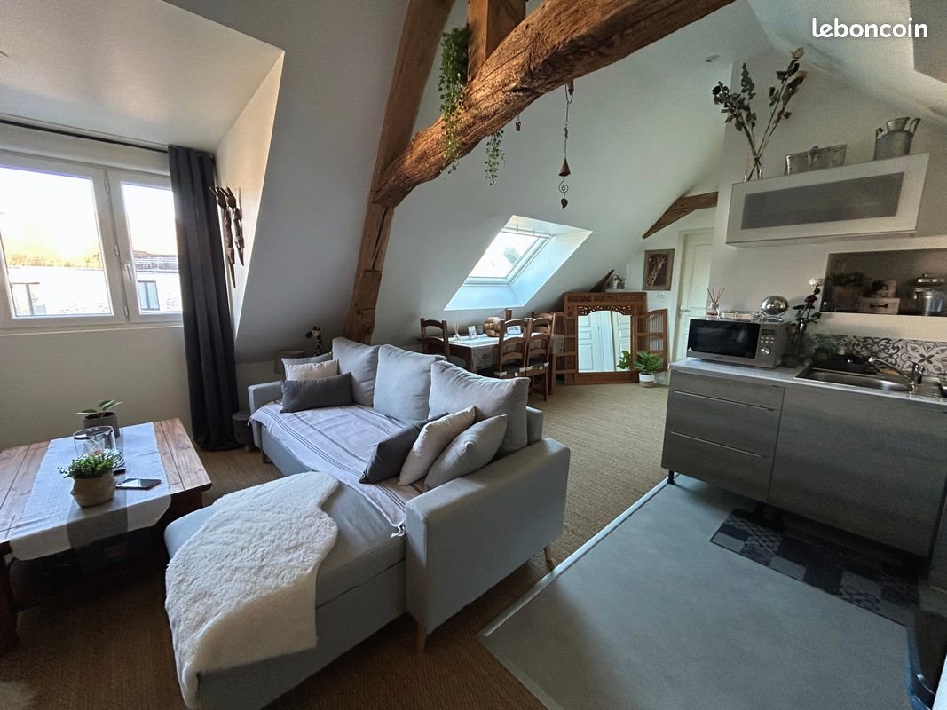 Appartement à louer, 47m², Ormes