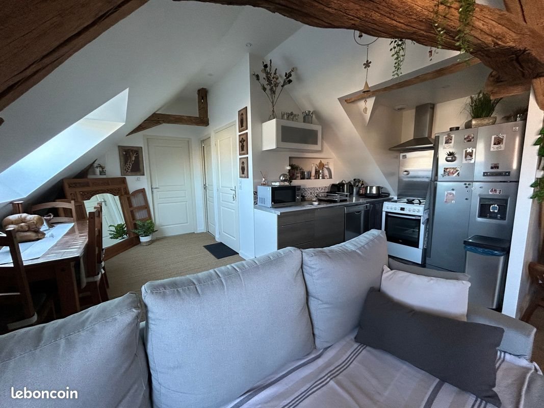 Appartement à louer, 47m², Ormes