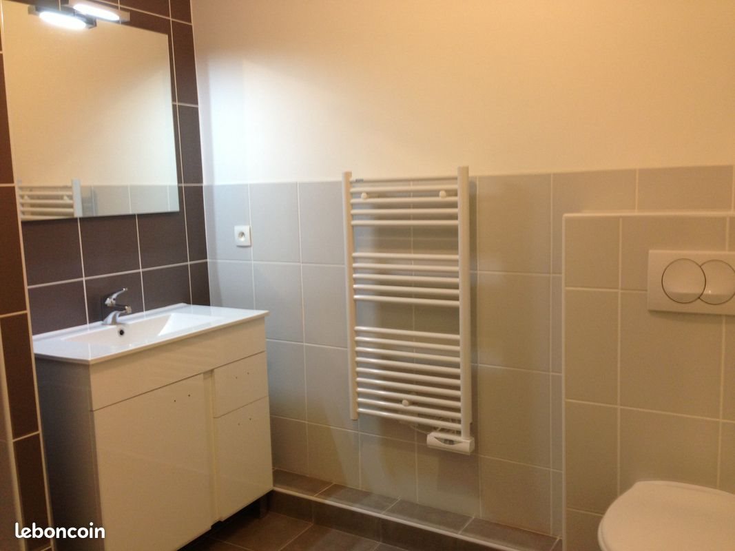 Appartement à louer, 46m², Saint-Etienne