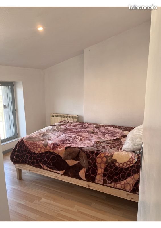 Appartement à louer, 47m², Saint-Etienne