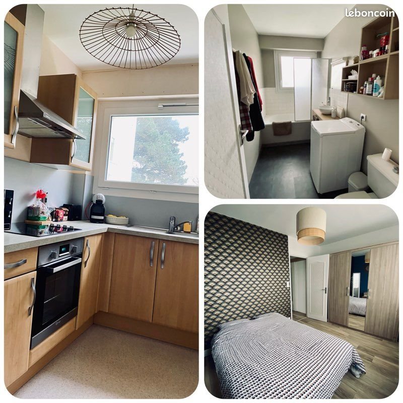 Appartement à louer, 45m², Angers