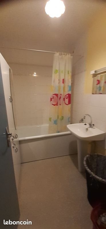Appartement à louer, 21m², Château-Gontier