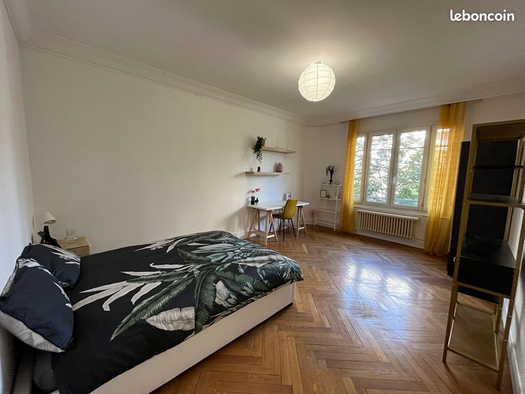 Appartement à louer, 120m², Saint-Etienne