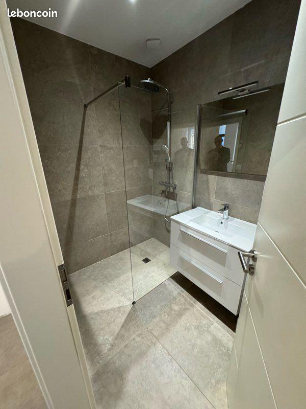 Appartement à louer, 45m², Metz