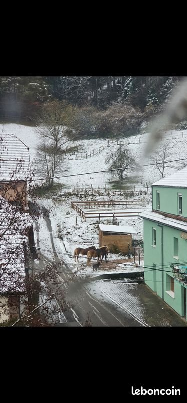 Appartement à louer, 31m², Sainte-Croix-aux-Mines