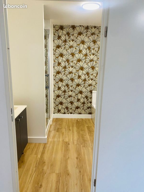 Appartement à louer, 38m², Toulouse