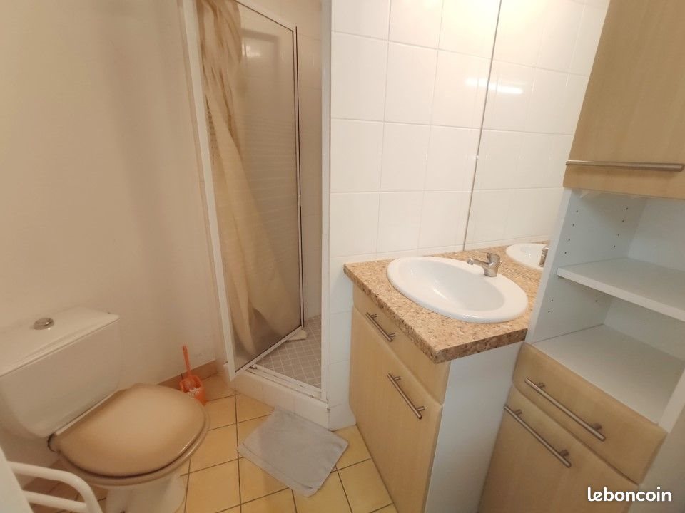 Appartement à louer, 19m², Vichy