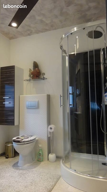 Appartement à louer, 30m², Bartenheim