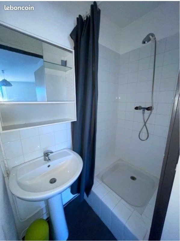 Appartement à louer, 27m², Saint-Etienne