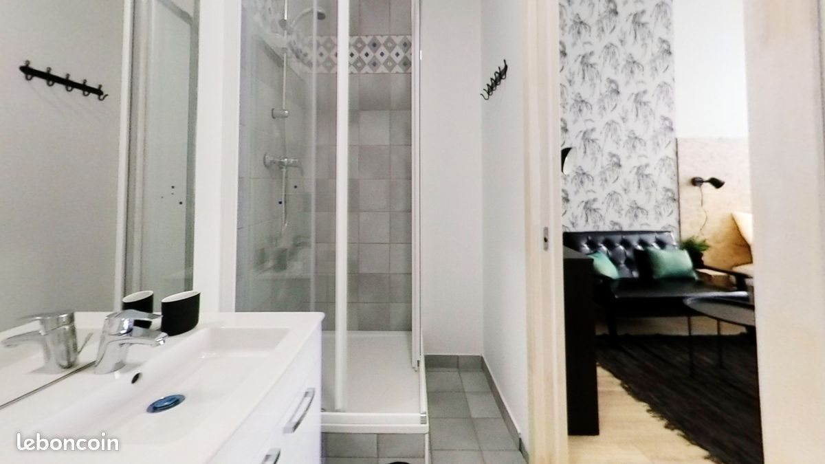 Appartement à louer, 20m², Saint-Etienne