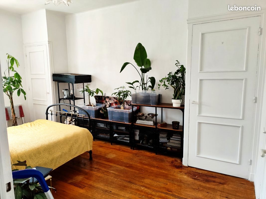 Appartement à louer, 42m², Saint-Etienne
