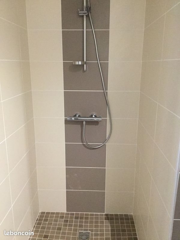 Appartement à louer, 38m², Grenoble