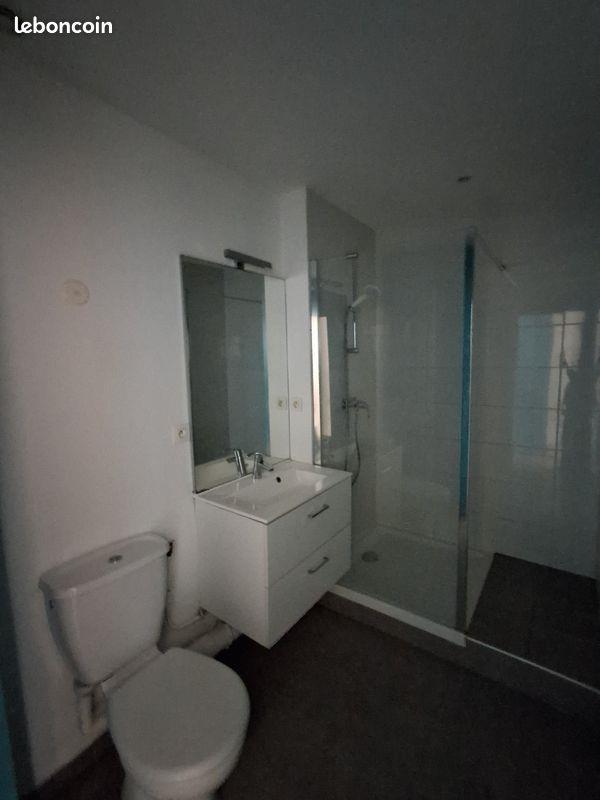 Appartement à louer, 52m², Saint-Etienne