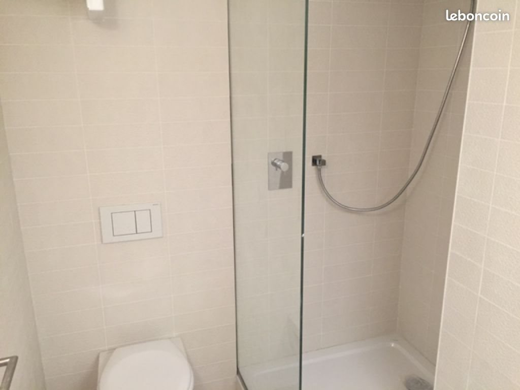 Appartement à louer, 17m², Lyon 5ème