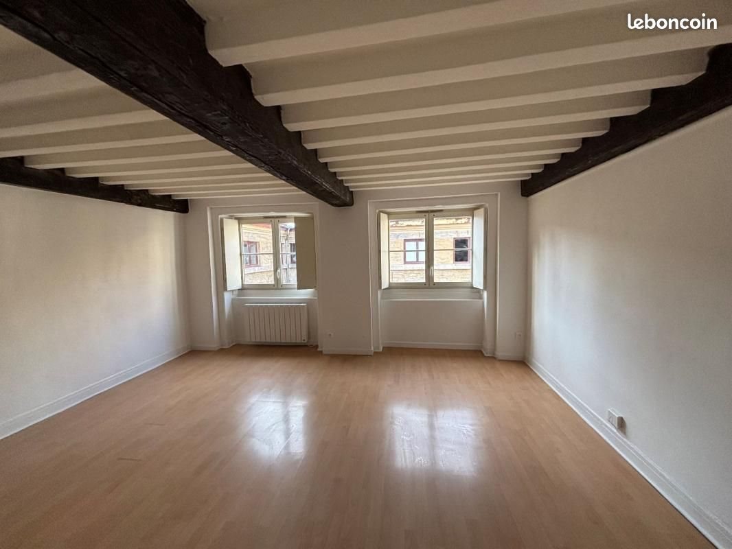 Appartement à louer, 60m², Lyon 1er