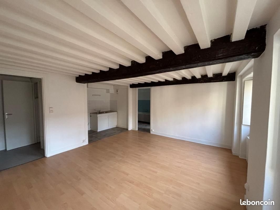 Appartement à louer, 60m², Lyon 1er