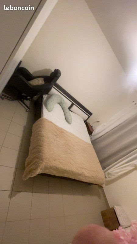 Maison à louer, 95m², Lyon 7ème