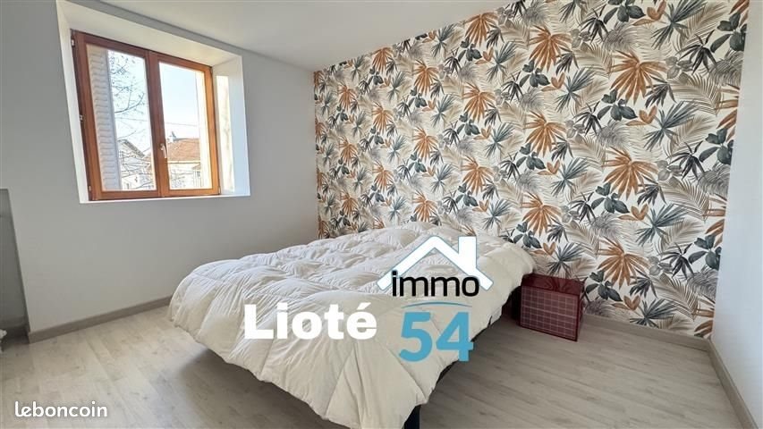 Maison à vendre, 350m², Bayon