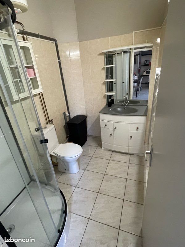 Appartement à louer, 30m², Saint-Etienne