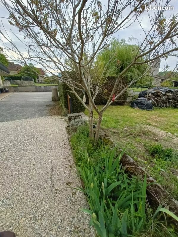 Maison à louer, 80m², Soleymieu