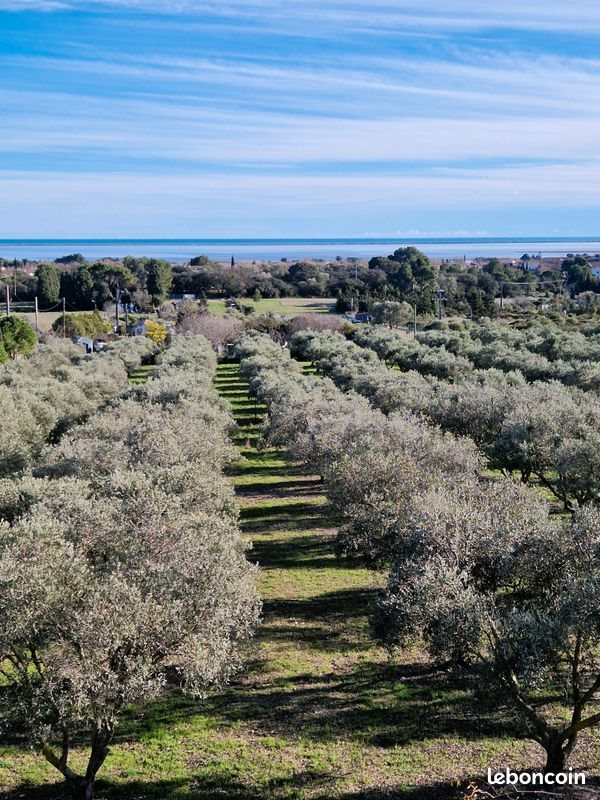 Appartement à louer, 83m², Mireval