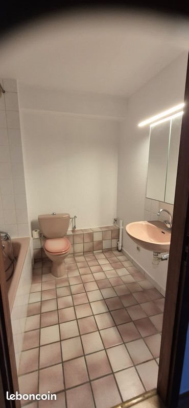 Appartement à louer, 29m², Strasbourg