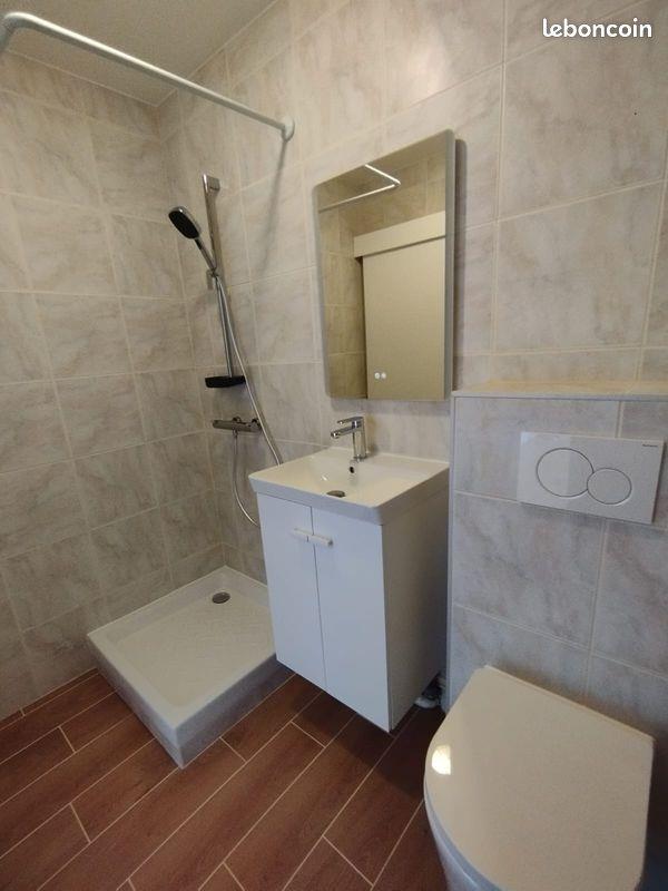 Appartement à louer, 30m², Saint-Etienne
