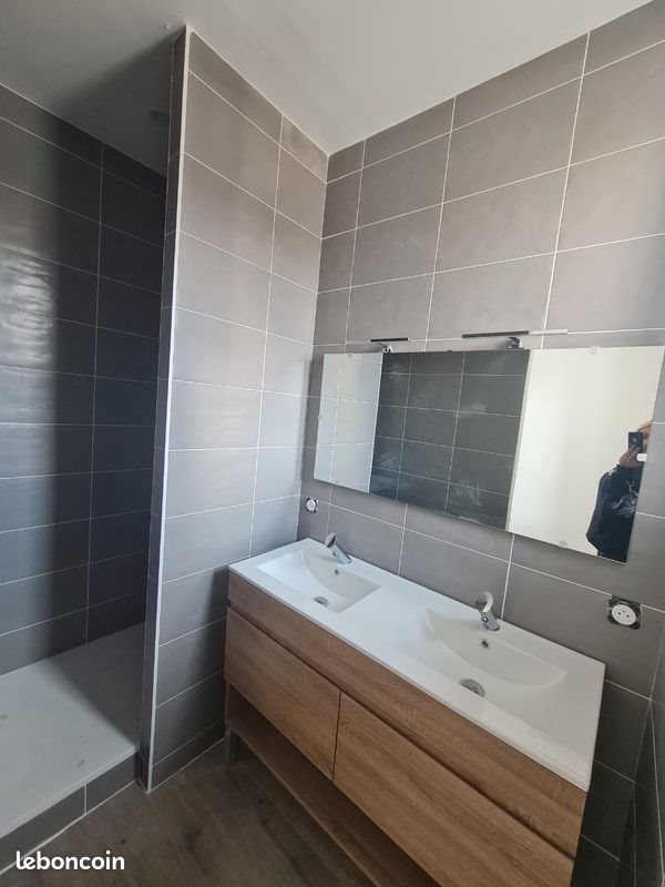 Appartement à louer, 52m², Saint-Etienne