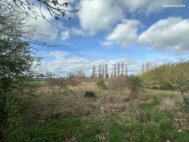 Maison à louer, 140m², Tillé