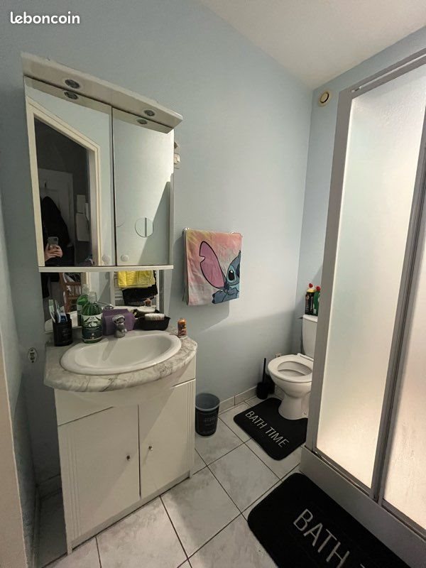 Appartement à louer, 40m², Neufchâtel-en-Bray