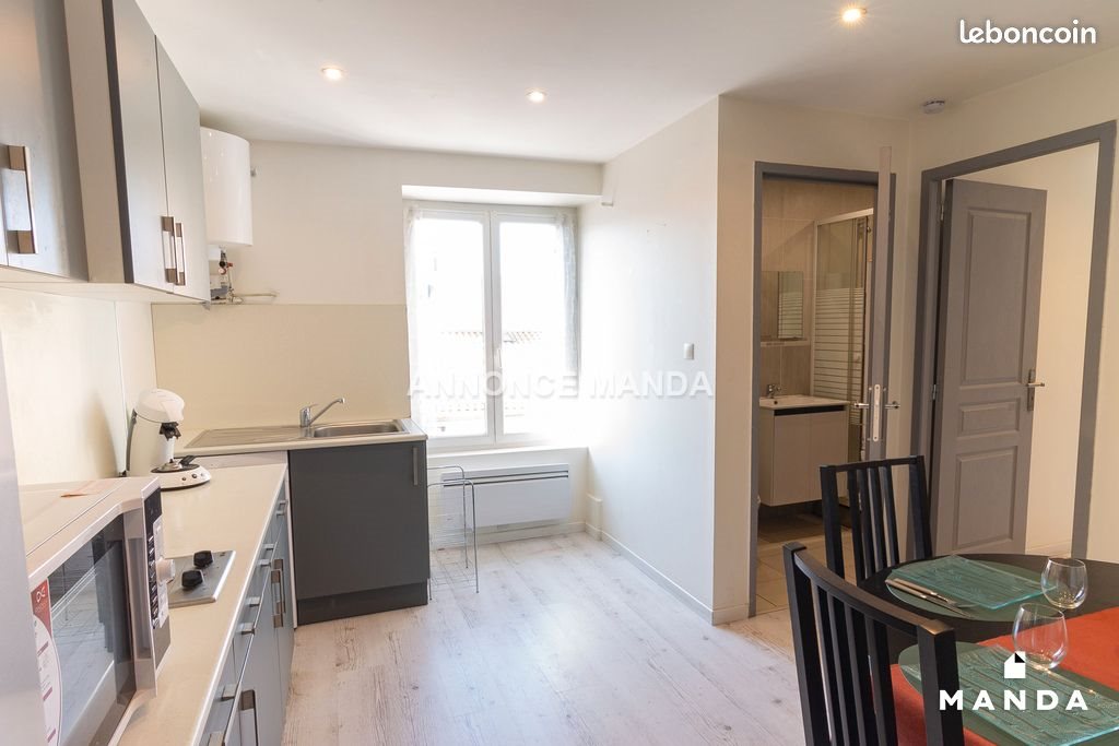 Appartement à louer, 30m², Saint-Etienne