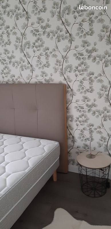 Appartement à louer, 48m², Exireuil