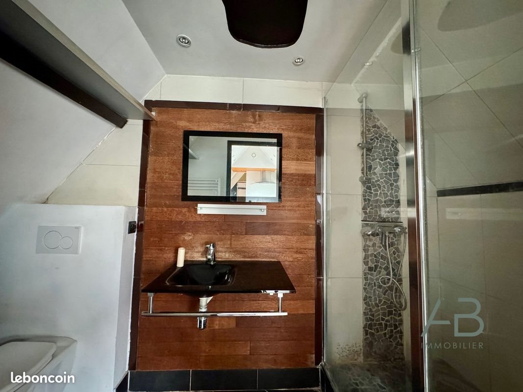 Appartement à vendre, 35m², Lille