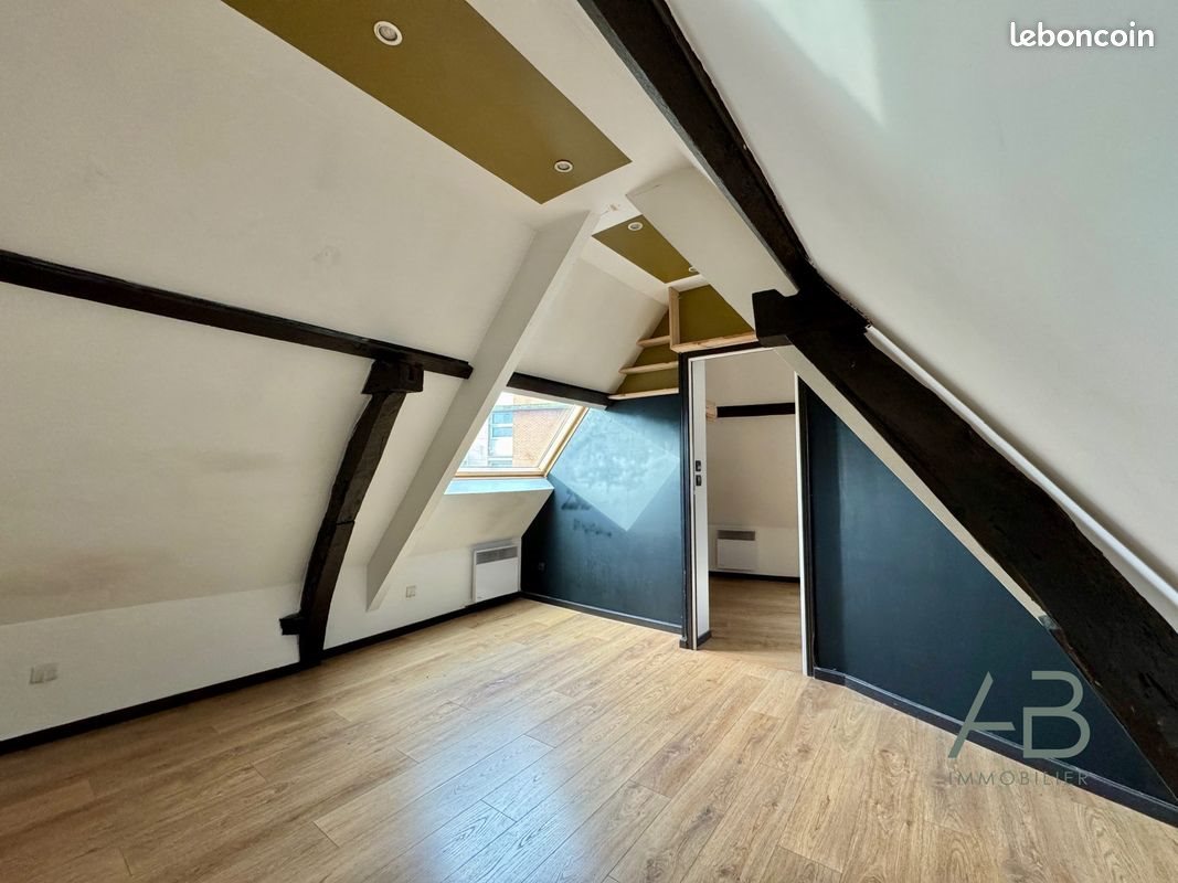 Appartement à vendre, 35m², Lille