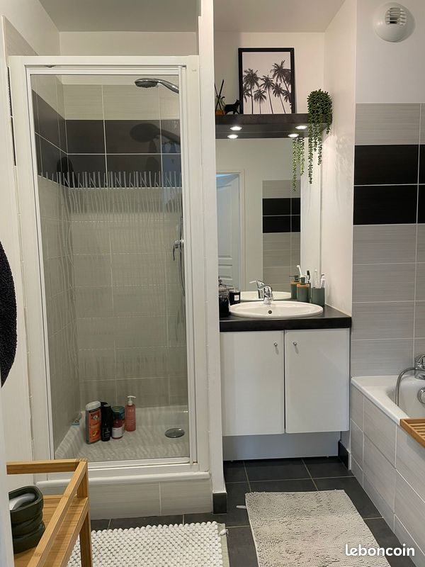 Appartement à louer, 53m², Saint-André-lez-Lille